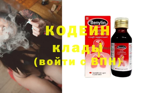 хмурый Инта