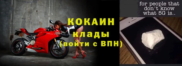 хмурый Инта