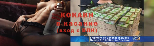 хмурый Инта