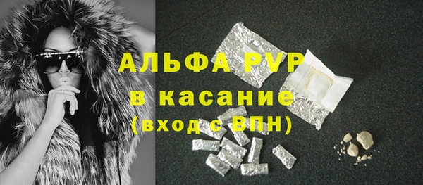 хмурый Инта