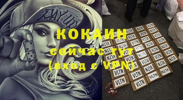 хмурый Инта