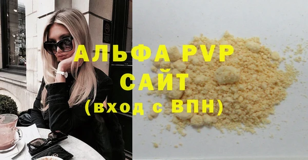 хмурый Инта