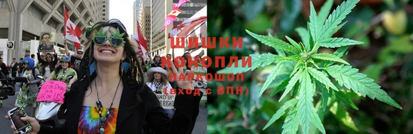 хмурый Инта